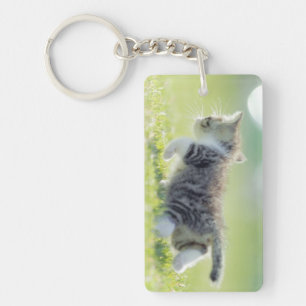 Babykatze, die auf Grasfeld läuft Schlüsselanhänger
