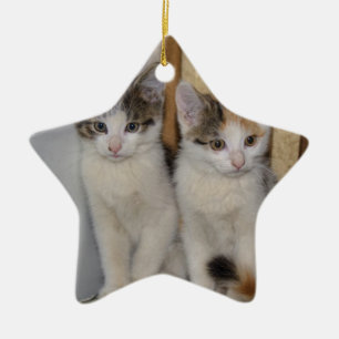 Babykatzen Keramikornament