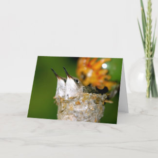 Babykolibris Karte