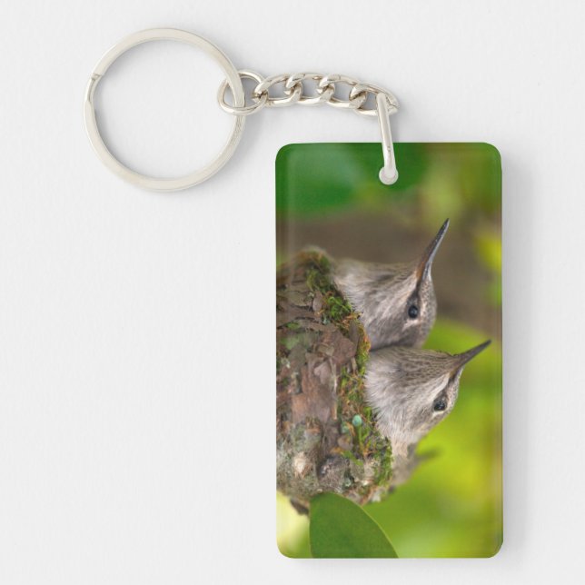 Babykolibris Schlüsselanhänger (Vorderseite)