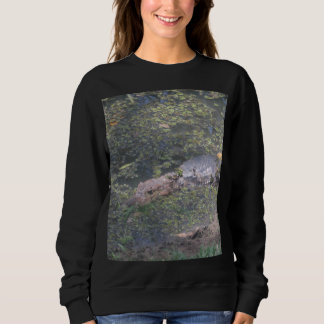 Babykrokodil in Südamerika Sweatshirt
