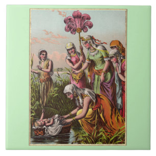 Babymäuse in einem Korb Fliese