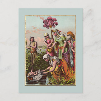 Babymäuse in einem Korb Postkarte