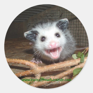 Babyopossum Runder Aufkleber