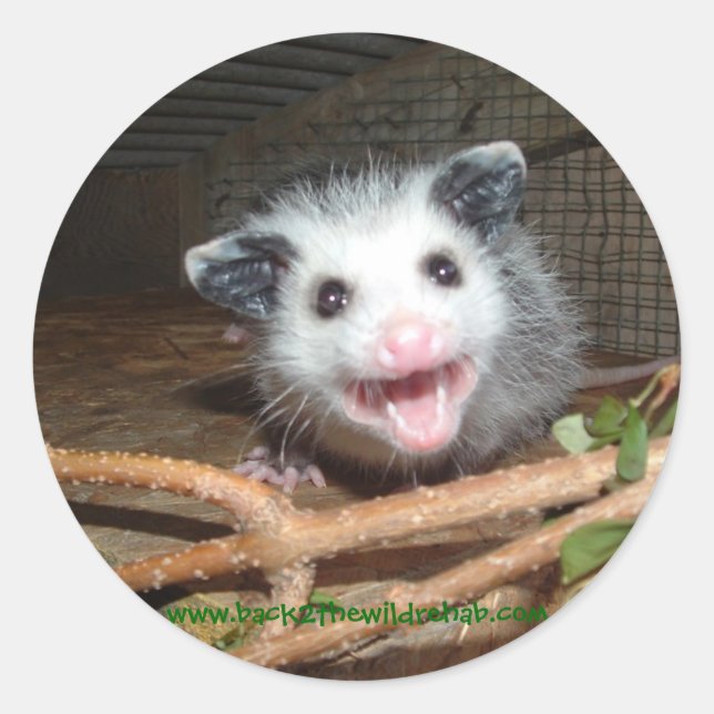 Babyopossum Runder Aufkleber (Vorderseite)