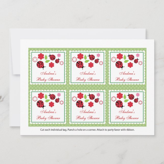 Babyparty-Bevorzugungs-Umbauten Damen-Bug Einladung (Vorderseite)