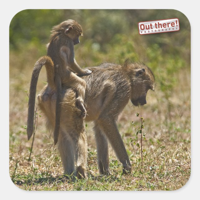 Babypflege Quadratischer Aufkleber (Vorderseite)