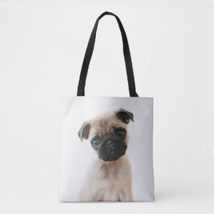 Babyportrait Mops