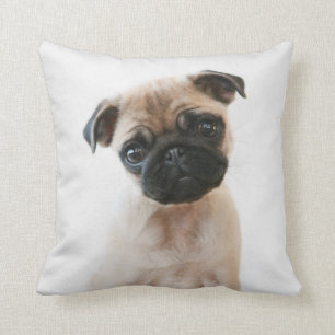 Babyportrait Mops Kissen