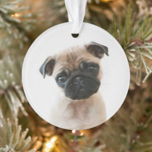Babyportrait Mops Ornament