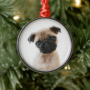 Babyportrait Mops Ornament Aus Metall