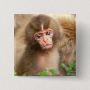 Babyportrait "Snow Monkey" Button