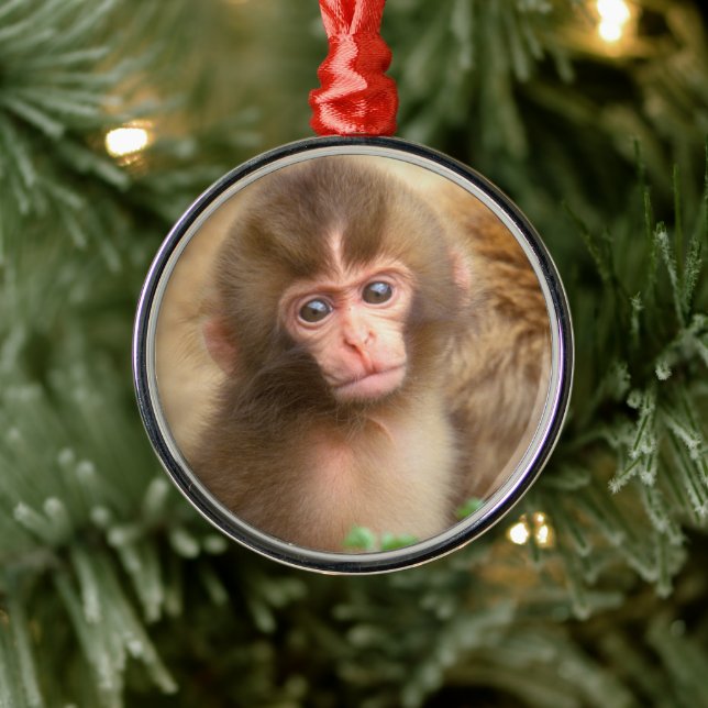 Babyportrait "Snow Monkey" Ornament Aus Metall (Baum)