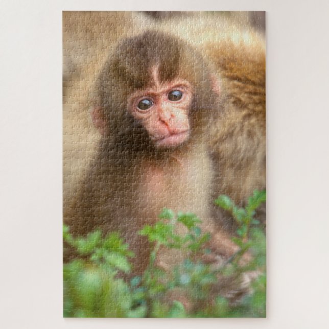 Babyportrait "Snow Monkey" Puzzle (Vertikal)
