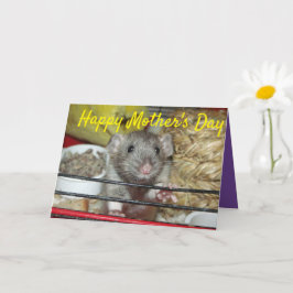 Babyratte Muttertagskarte Karte