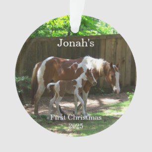 Baby's 1. Weihnachtshorn Akryler Ornament