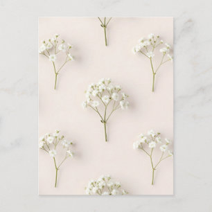 Baby's Breath Zartes Neutrales Muster Postkarte