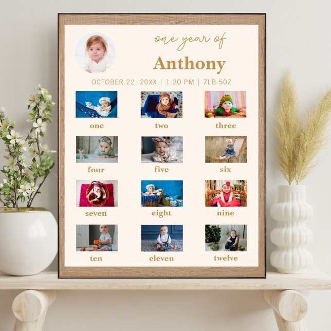 Baby's First Year 1st Birthday Photo Milestone Poster (Von Creator hochgeladen)