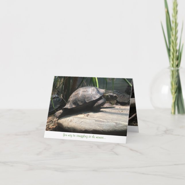 Babyschildkröte notecard (Ermutigung) Karte (Vorderseite)