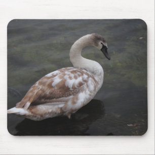 Babyschwan Mousepad