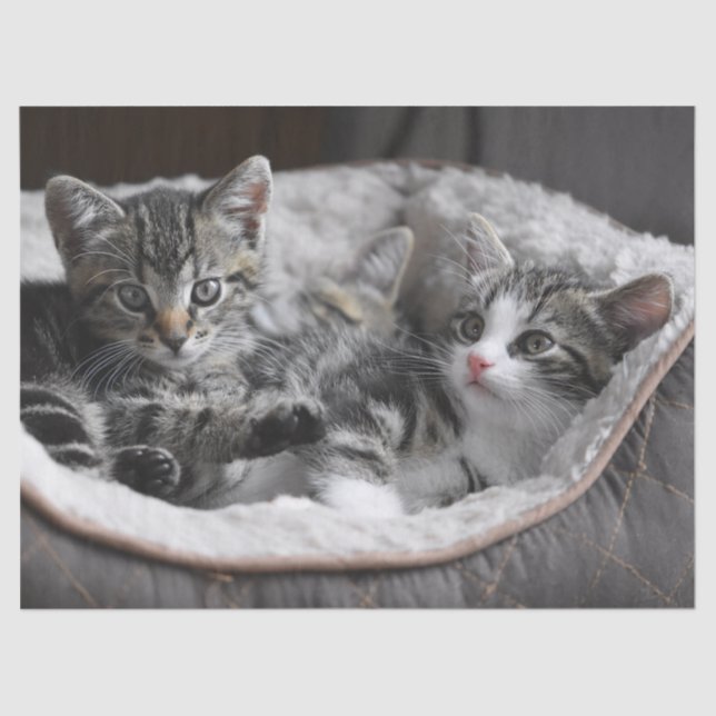 Babywaschpapier Seidenpapier (Vorderseite)