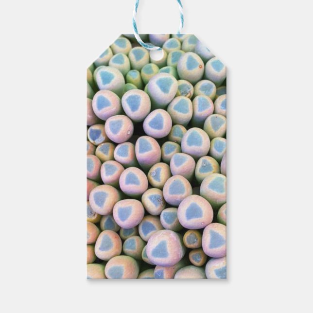 Babyzehen Sukkulente Geschenketiketten Geschenkanhänger (Vorderseite)