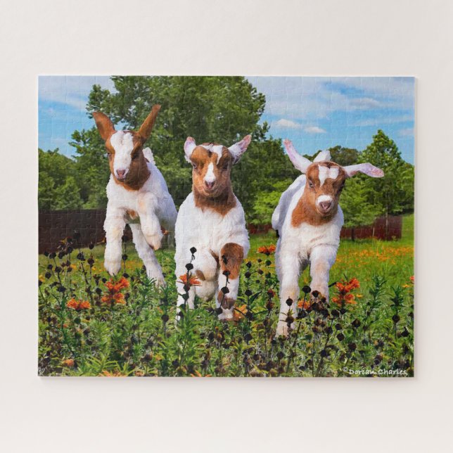 "Babyziegen" Puzzle (Horizontal)