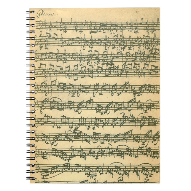 Bach Chaconne gewundenes Notizbuch Notizblock (Vorderseite)