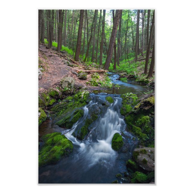 Bach entlang des Weges Fotodruck (Vorne)