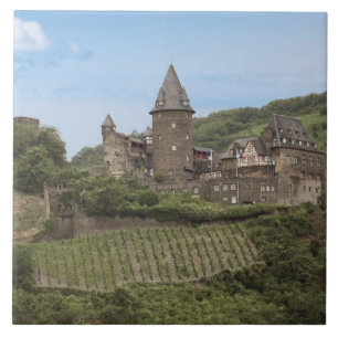 Bacharach, Deutschland, Burg Stahleck, Schloss Fliese