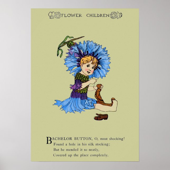 Bachelor Button Poster (Vorne)