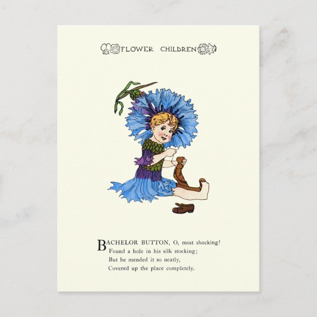 Bachelor Button Postkarte (Vorderseite)