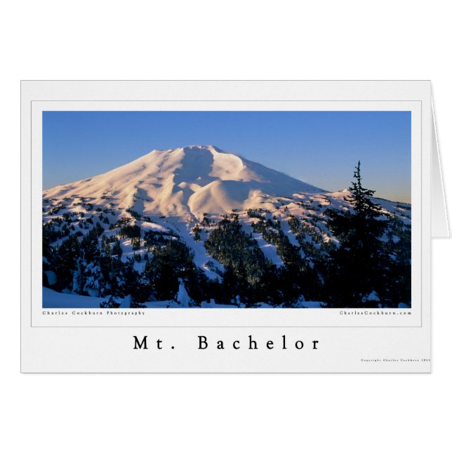 Bachelor Daybreak (Vorderseite (Horizontal))