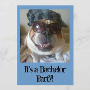 Bachelor Party Einladungen Funny English Bulldog