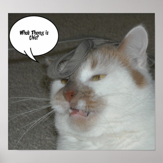 Bachelor Party Who's Thong ist dies Poster (Vorne)