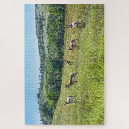 Bachelor Pronghorn Antelopes, Süddakota Puzzle