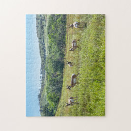 Bachelor Pronghorn Antelopes, Süddakota Puzzle