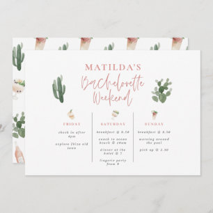 Bacheloretour-Bar am Wochenende