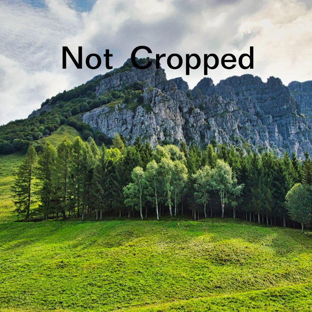 Bachelorette Einladung (Von Creator hochgeladen)