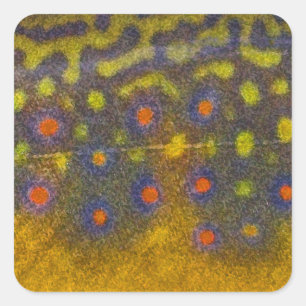 Bachforelle - Aufkleber