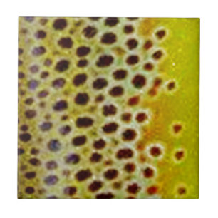 Bachforelle durch PatternWear© Fliese