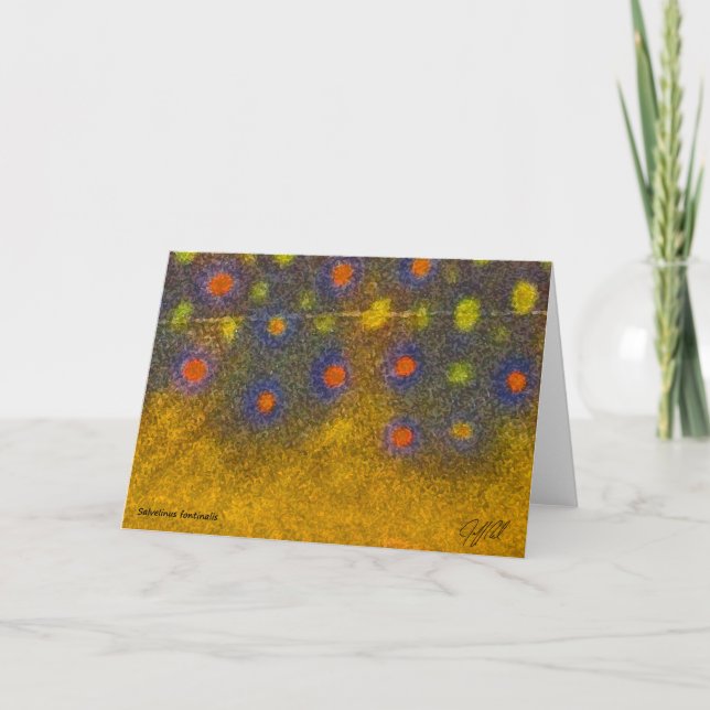 Bachforelle - Karte (Vorderseite)