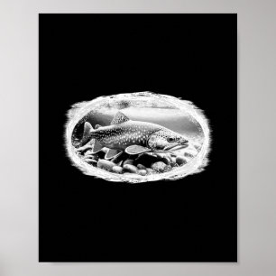 Bachforelle Trockenfliegen Angel Liebhaber Fly Bin Poster