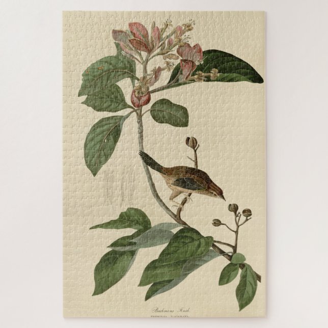 Bachman's Finch (Sparrow) Audubon Birds of America Puzzle (Vertikal)