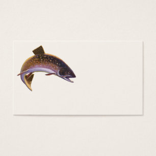 Bachsaibling Fisch, Vintage Sportfischen Angler