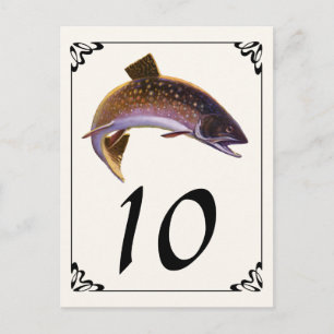 Bachsaibling Fisch, Vintage Sportfischen Angler Postkarte