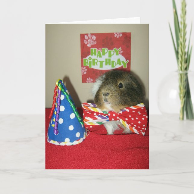 Bacis Geburtstagsparty Karte (Vorderseite)