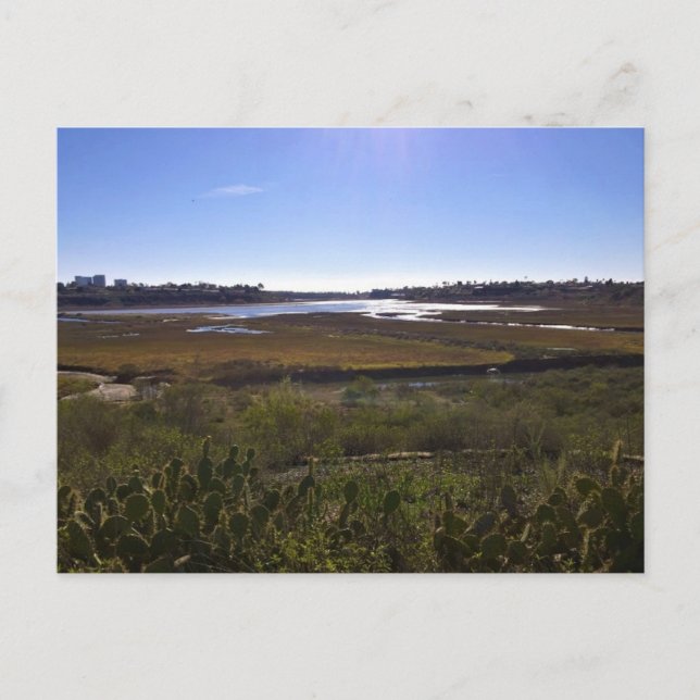 Back Bay, Newport Beach, Kalifornien Postkarte (Vorderseite)