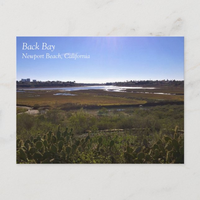 Back Bay, Newport Beach, Kalifornien Postkarte (Vorderseite)