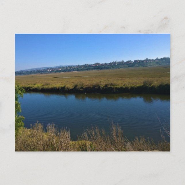 Back Bay, Newport Beach, Kalifornien Postkarte (Vorderseite)